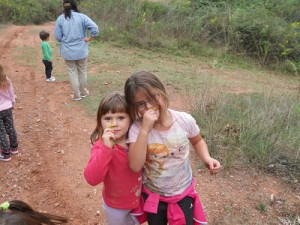 DSCN8316_opt