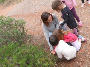 DSCN9313_opt