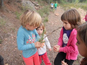 DSCN9317_opt