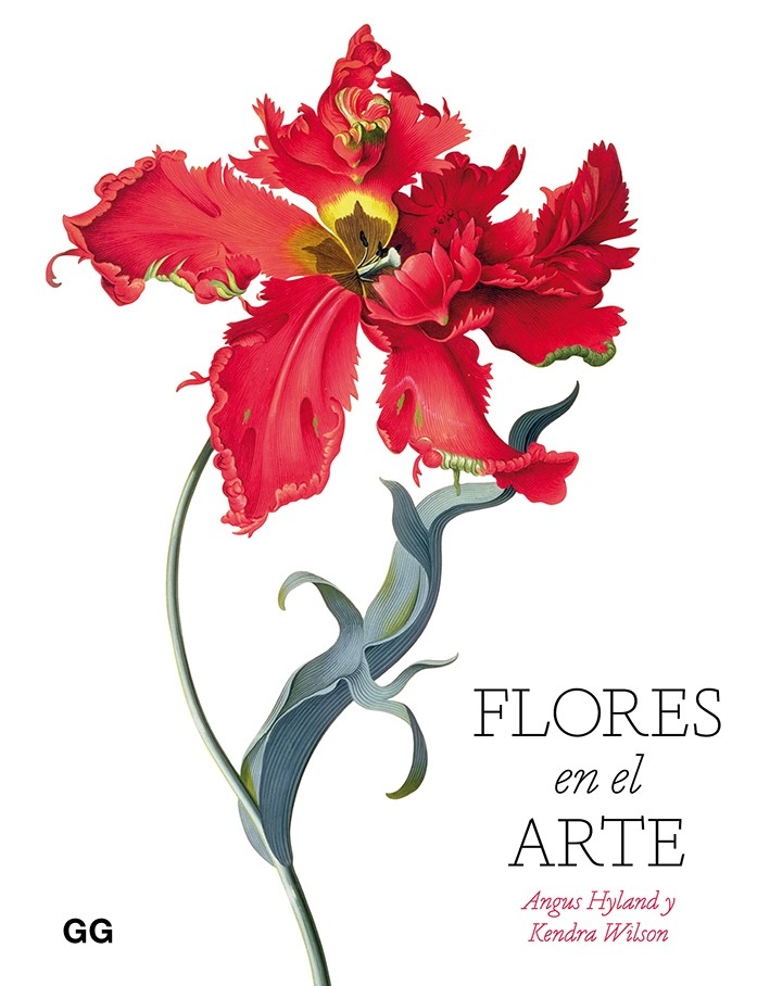 MARIA JOSE ARIZA FERNANDEZ