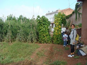 dsc05907-50