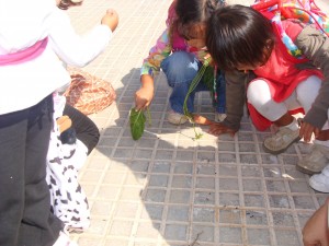 dsc05919-50