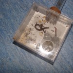 formiguer2