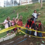 hort3