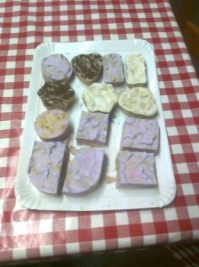 fotos-mobil-sonia-11750