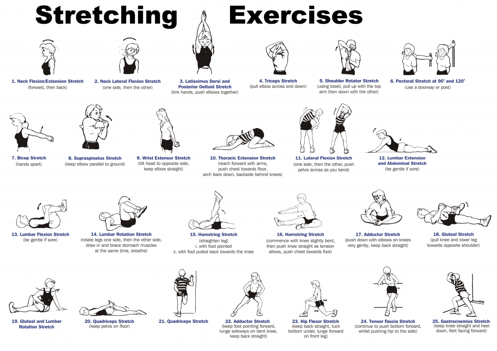 Whole body stretching routine