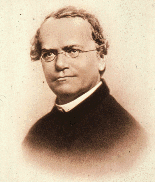 mendel