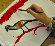 dibupintura