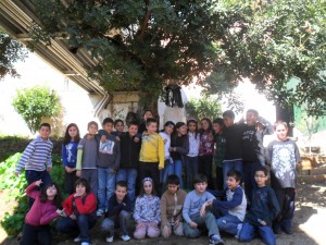 sam_0174