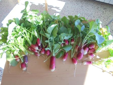 Clica per veure més fotos!