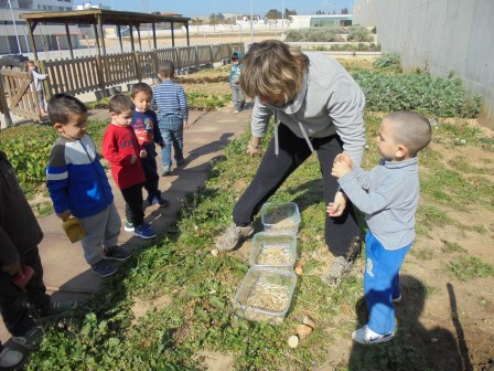 Clica per veure més fotos