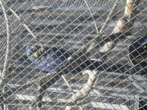 Clica la foto per veure més imatges