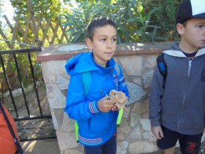 cliqueu sobre la imatge per veure més fotos