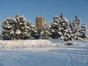 març2010 031