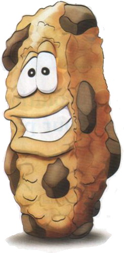 galleta de chocolate