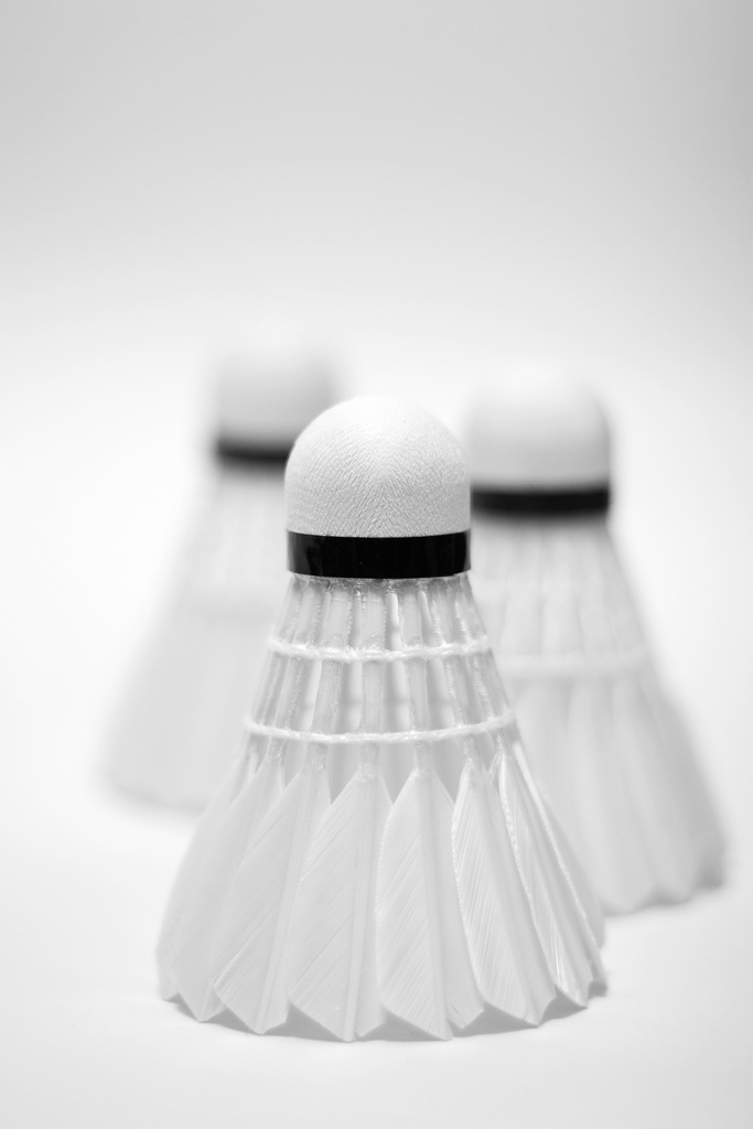 2592255101_bd16926d1a_b