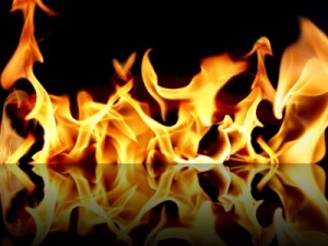 Foc
