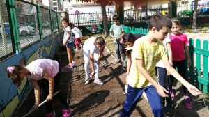 IMG_20171002_152624_BURST001_COVER R