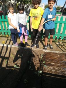 IMG_20171016_161017 R