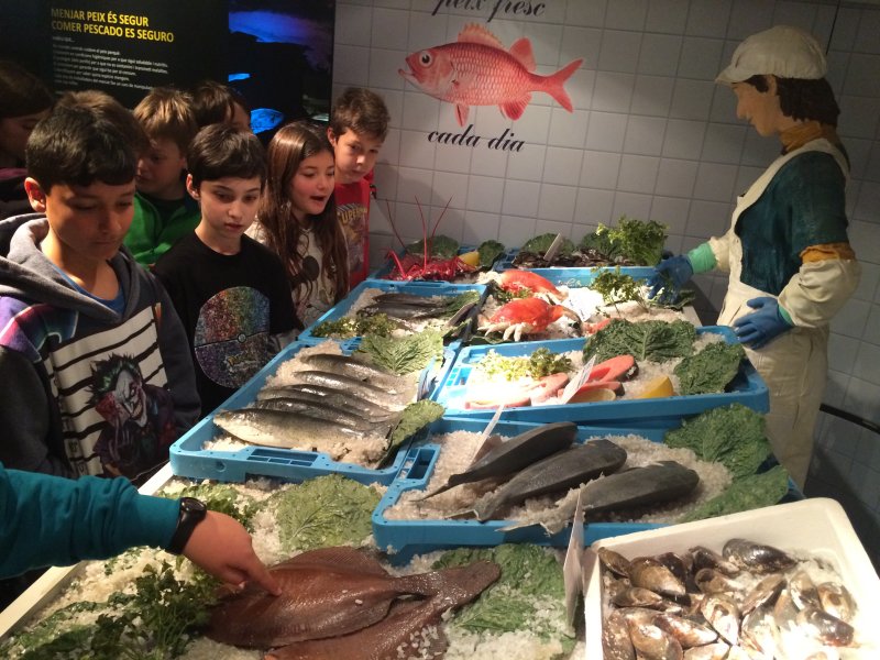 Foto 2-3-16 12 23 15