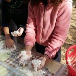 img-20170203-wa0012-copy