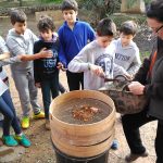 img_20170203_110808-copy