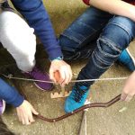 img_20170203_115818-copy