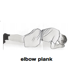 elbow plank