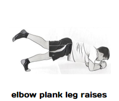 elbow plank leg raises