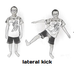 lateral kick