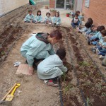 09-10-p3-hort-plantem04