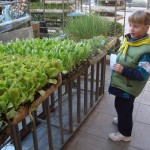 09-10-p5-hort-mercat10