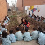 09-10-p5-hort-plantem09