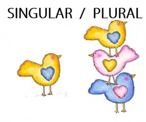 singular-plural