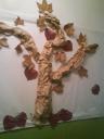 arbre-passadis.JPG