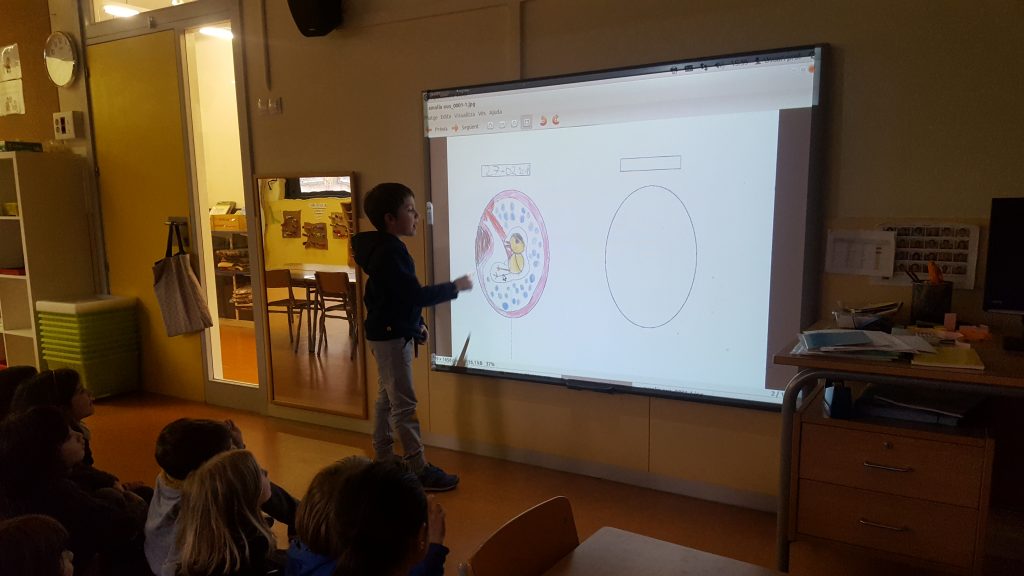 Escola Fructuós Gelabert