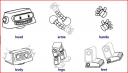 vocabularybody.JPG