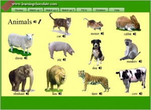 animals11