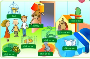 pets-activity
