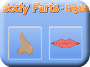 bodyparts