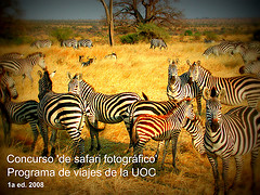 safariuoc.jpeg