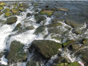 IMG_1378