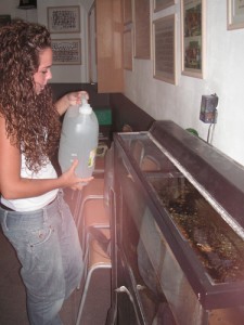 090918ma_omplepeixerapict00781