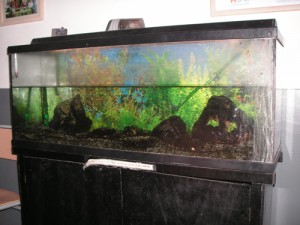 090918ma_peixerapict00772