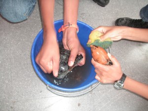 projma090925_netejapedrespict0077