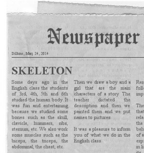 newspaper(3)