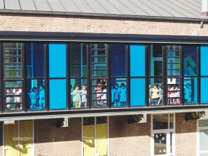 Les girafes i el color blau.