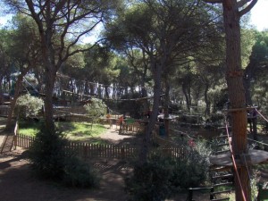 Sortida al Natupark
