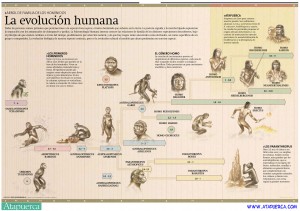 Evolucion-humana ATAPUERCA