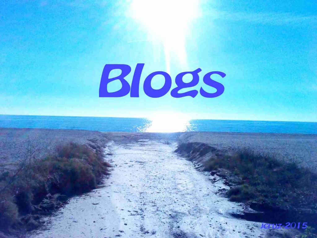 blog 2015